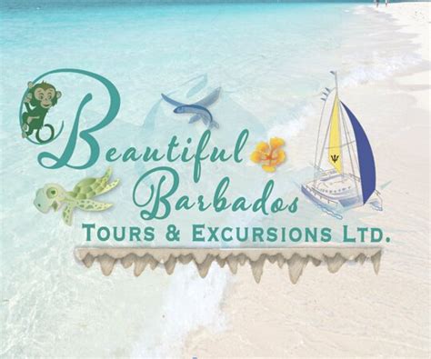 trip advisor barbados|More.